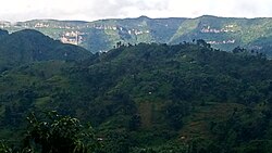 Mount Elgon Elephant Salt Mining Caves