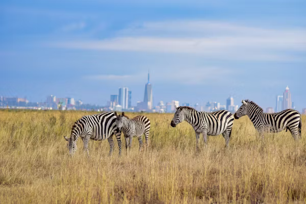 Nairobi National Park Skyline Wildlife
