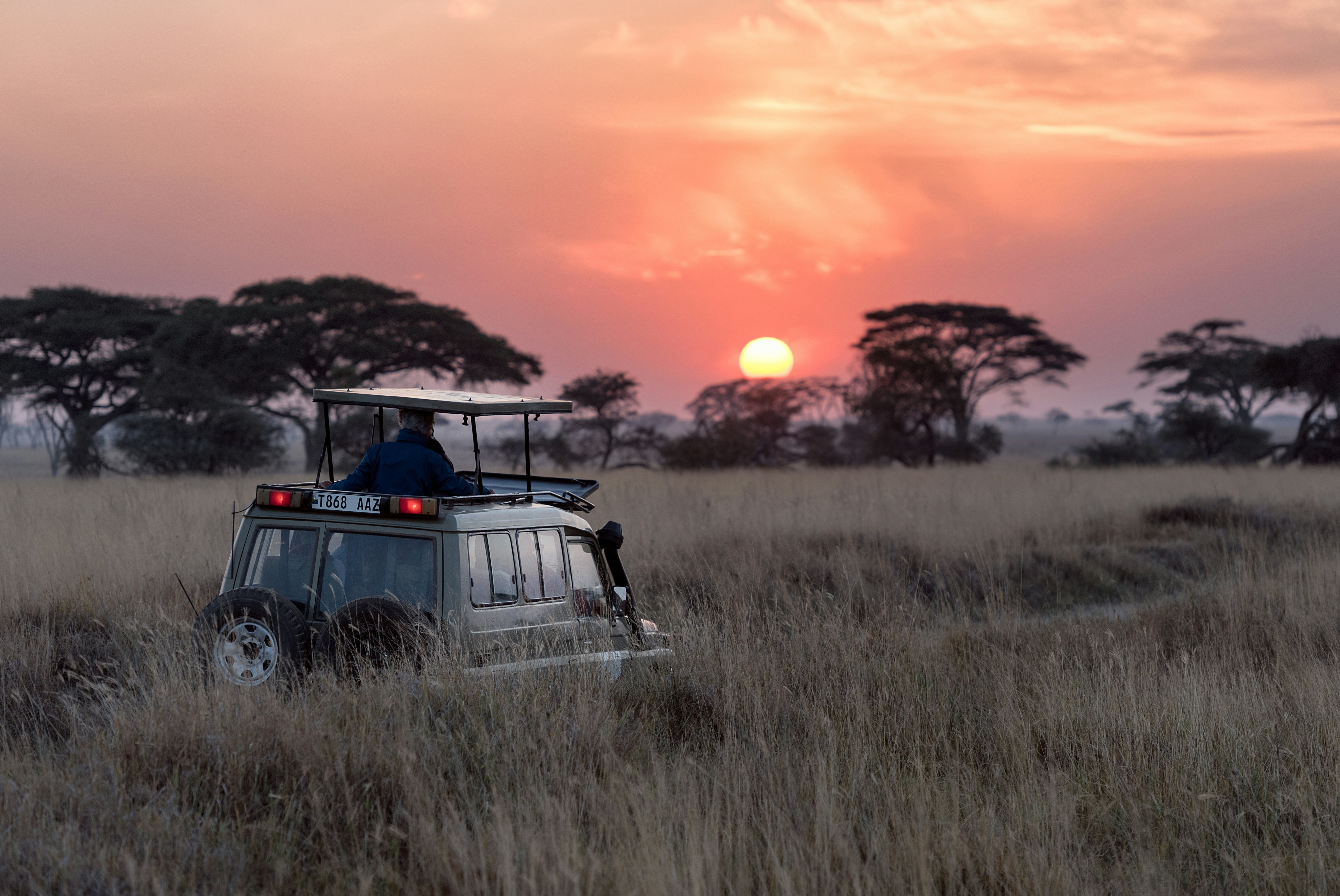 Shimba Hills Sable Antelope Landscape