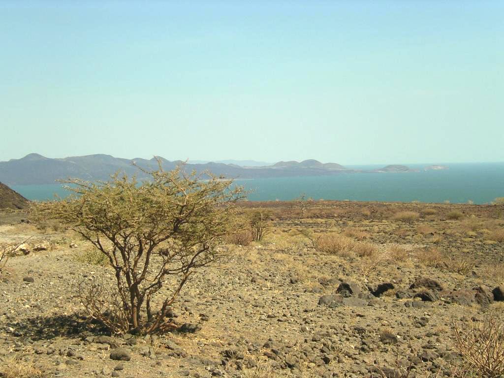 Lake Turkana Sibiloi Desert Shorelines